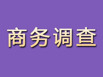 温岭商务调查